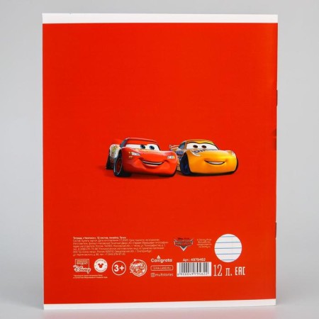 Notebook in a ruler of 12 sheets, 5 types of mix, cover coated cardboard, cars-5