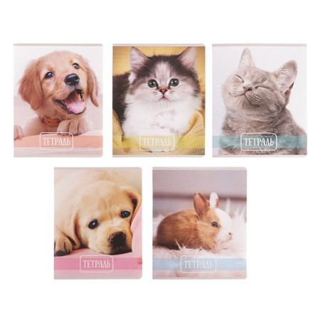 Notebook 24 sheets in the Calligrata cell "Pets", cover coated cardboard, VD varnish, OFSET BOLOC, Belility 95%, MIX