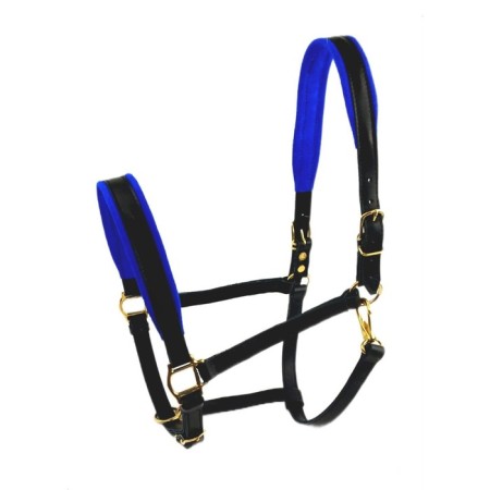 Pony Unserlist, foals, leather, brass, blue, ks407