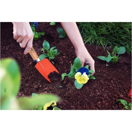 Sowing for weeding, length 30 cm, width 6 cm, wooden handle-2