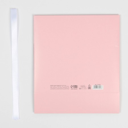 Bearbox Two -way "Pink New Year", 20 x 18 x 5 cm, New Year-6