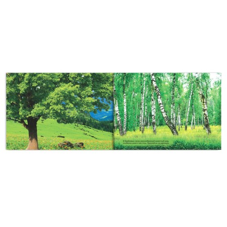 A set of books of 100 stickers "Study animals", 3 pcs. 12 p.-2