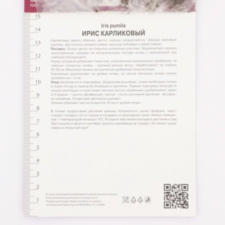 Iris Karloviki Benberry Raffles, Rr. I, 1 pc, spring 2024-2