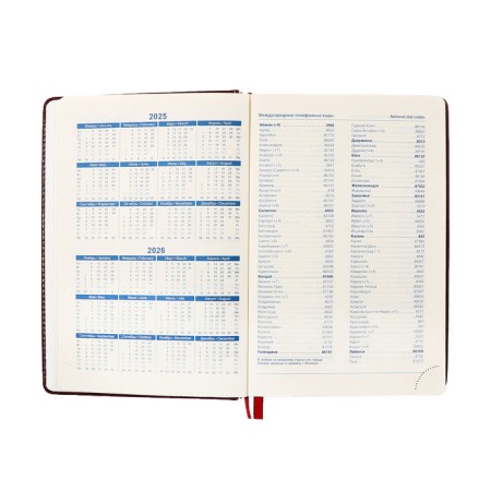 Dated diary of 2025, A5, 168 sheets in the ruler, leatherette "Nebraska", gold cut, burgundy-6