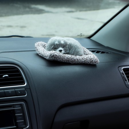 Toy on a car panel, a dog on a pillow, gray color-3