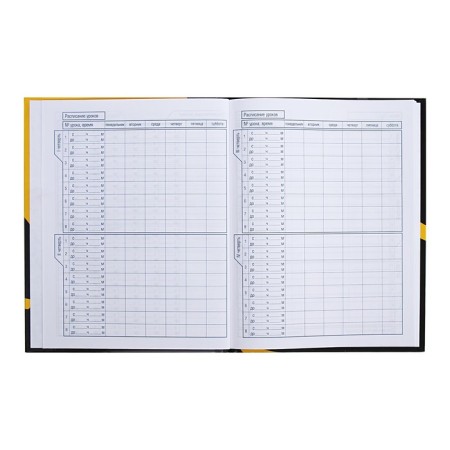 Universal diary for grades 1-11 Antidepressant, solid cover, glossy lamination, 40 sheets-6
