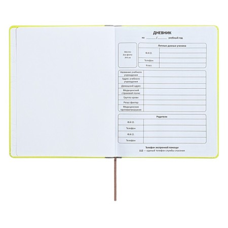 The universal diary for grades 1-11 is an excellent student, a solid cover made of artificial leather, silkography, lies, 48 ​​sheets, light green-3