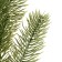 Decor "Branch of wonderful spruce"