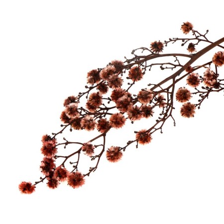 Dry flowers “Molchy Mile”, 25 g, length - 70 cm, pink color-4