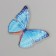 PVC stickers "Dream butterflies" set 40 pcs 8x7 cm