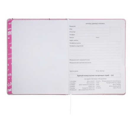 Universal diary for grade 1-11 Kitty, hard cover, artificial leather, foam rubber, lies, 80 g/m2-4