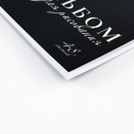 Album for drawing A4 48 sheets on the spring "September 1: Leopard"-1