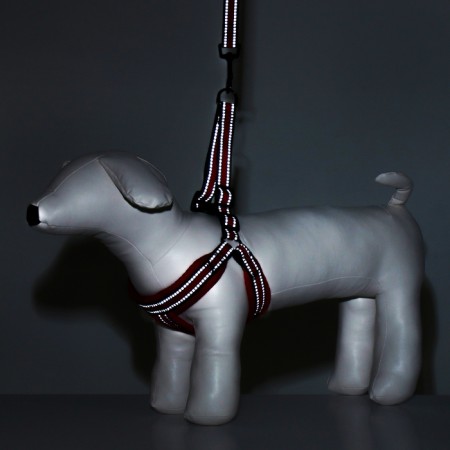 The ammunition set is soft, reflective, leash 120 x 2 cm, Osh 25-72 cm, red-9