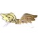 Carnival wings "angel", gold color