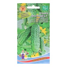 Seeds of cucumber 
