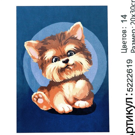 Picture on numbers on canvas with a subframe "Baby York" 20x30 cm-4