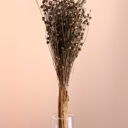 Set of dried flowers "Lenon-debunge", banch length 55-60 (+/- 6 cm), bronze-1