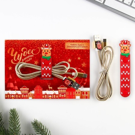 Set of wire holder+Type-C Cable “Miracles in the New Year”, 1a, 1m