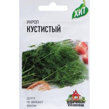 Semen dill 