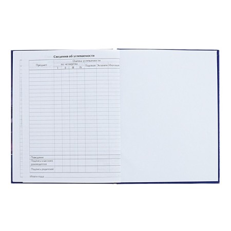 Universal diary for grades 1-11 Iceberg in the Ocean, hard cover, glossy lamination, 40 sheets-8