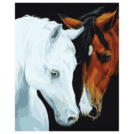 Picture on numbers on the black canvas "Tender Feelings", 40 × 50 cm