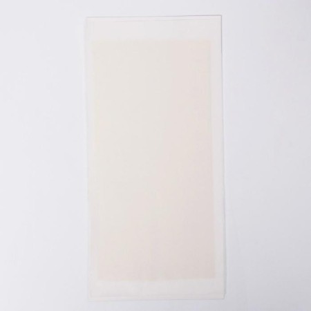 Glue plate from rats mr.mouse, without packaging, 1pc-1