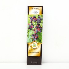 Raspberry traditional varieties 