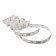 Ecola Pro 1 m, IP20, SMD5050, 60 LED/m, 14.4 W/m, 12 V, 4200K