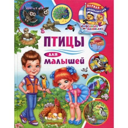 Birds for kids