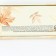 Pen in the gift box “Teacher inspires”, plastic, blue paste, writing a 1mm node