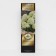 Hydrangea blizzard suite "Bombshell", 1 pc, tube, spring 2025