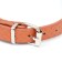 The collar of riveted with 2 rows of rivets, 33 x 1.2 cm, Osh 23-29, brown