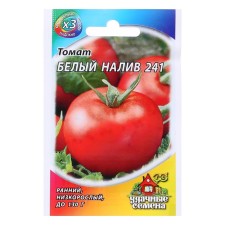 Seeds Tomat 