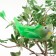Decor on the clothespin of bird mix set 3pcs 4449370