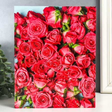 Photo album for 200 photos "Rose-3" 10x15 cm mix-6