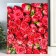 Photo album for 200 photos "Rose-3" 10x15 cm mix