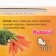 Honey-grain balls for rodents with vegetables, 60g*3pcs