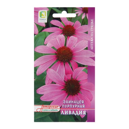 Echinacea Semen Purple "Livadia", 20 pcs
