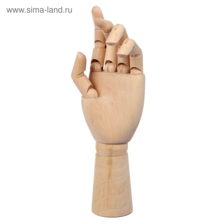 Model wooden hand, male, left, 31 cm-1