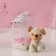 Gift set "white" soap roses 5 pcs, dew 7x7x12 cm