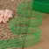 Capricon lace, 45 mm × 10 ± 1 m, green color