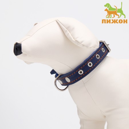 Collar combined leather/tarpaulin, dimensionless, 56 x 2.5 cm, Osh 25-51 cm, blue