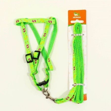 Set "Color Transes", leash 120 x 1 cm, fire 23-35 cm, green-5