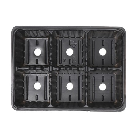Cassette for seedlings, 6 cells of 120 ml, set of 5 pcs., Black-7
