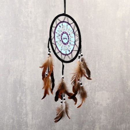 Dreams "Multi -colored feathers" d = 20 cm-1