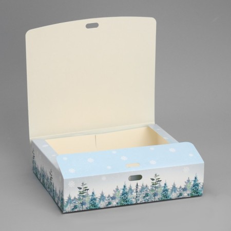 Gift Box "Fairytale New Year", 20 x 18 x 5 cm, without tape, New Year-3