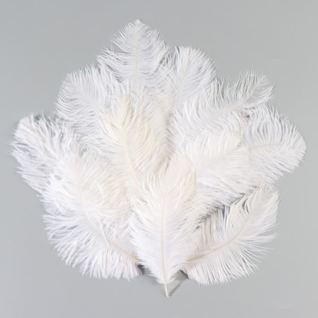 A set of ostrich feathers 10-15 cm, 10 pcs, white-1