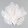 A set of ostrich feathers 10-15 cm, 10 pcs, white