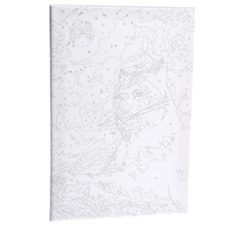 Picture on numbers on canvas with a panther in the night subframe 20x30 cm-1