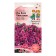 Flowers of Petunia "Iza Vave Pink Pashn", F1, 5 pcs